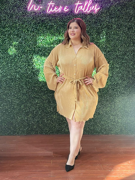 Vestido Taupe 1961